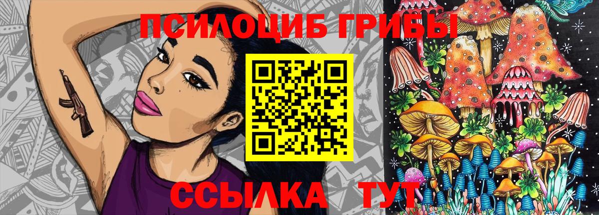 Псилоцибиновые грибы ЛСД  Галлюциногенные грибы ЛСД  Егорьевск  Вход с VPN 